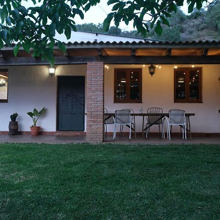 The Wild Olive Andalucia Palma Guestroom 카사레스 외부 사진