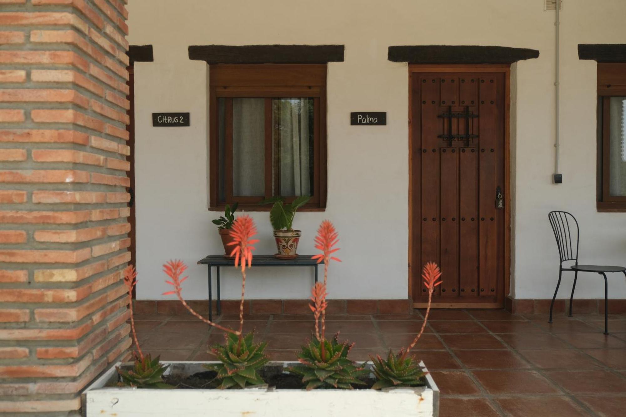 The Wild Olive Andalucia Palma Guestroom 카사레스 외부 사진